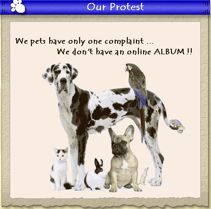 We pets have only one complaint — we don't have an online album!